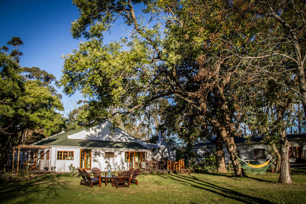 Addo African Home Eksteriør billede