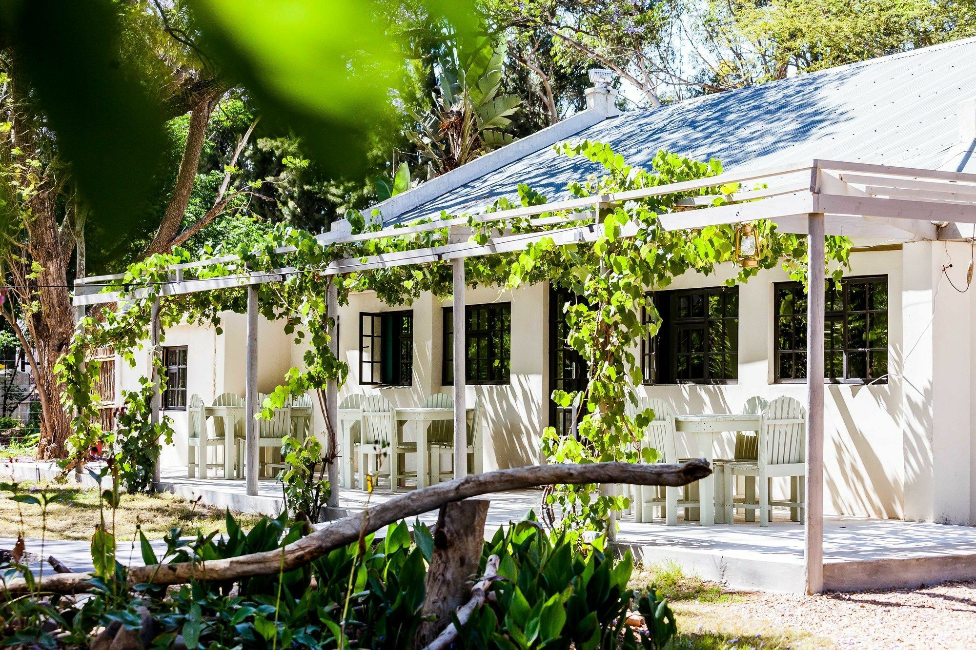 Addo African Home Eksteriør billede