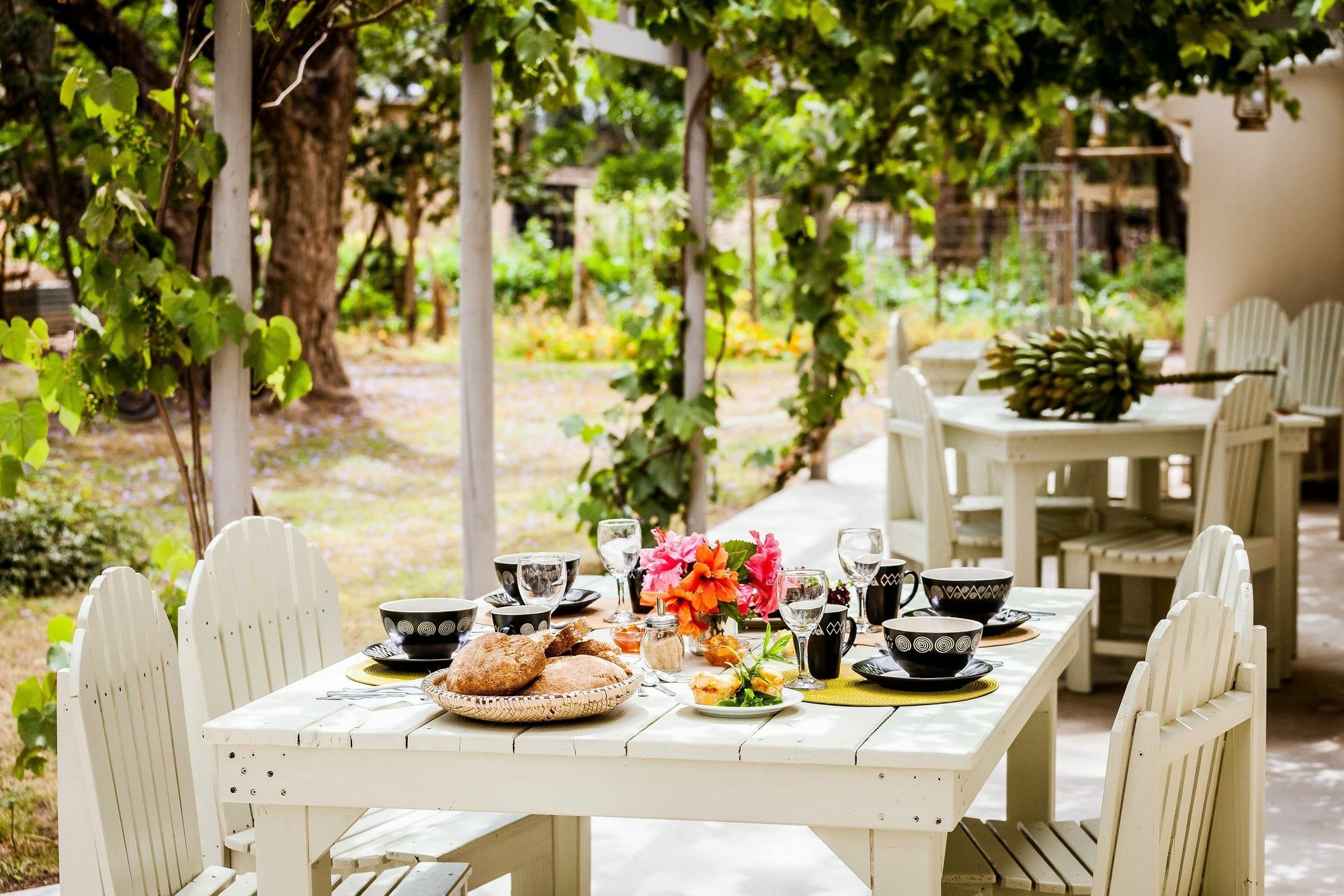 Addo African Home Eksteriør billede