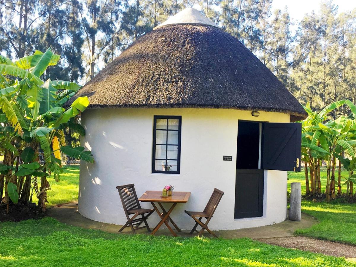 Addo African Home Eksteriør billede