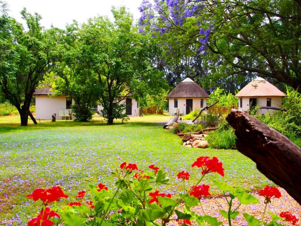 Addo African Home Eksteriør billede